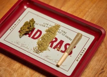 Studie: hennepcannabinoïden mikken op jongeren via Instagram