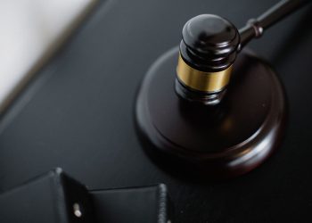 Zelfde rechtenopleiding beïnvloedt uitspraken van rechters