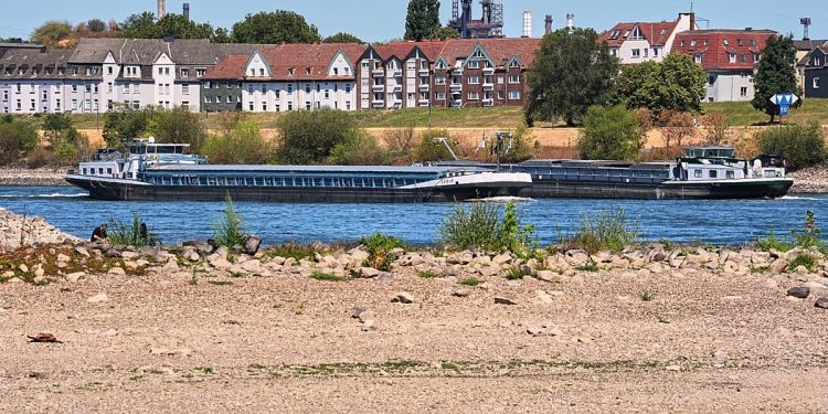 Zürichmeer zakt naar laagste peil in 75 jaar door droogte